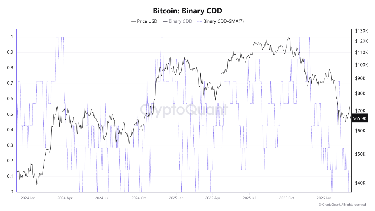Bitcoin and the Paradox of Sterile Calm: Binary CDD at Zero Rekindles ...