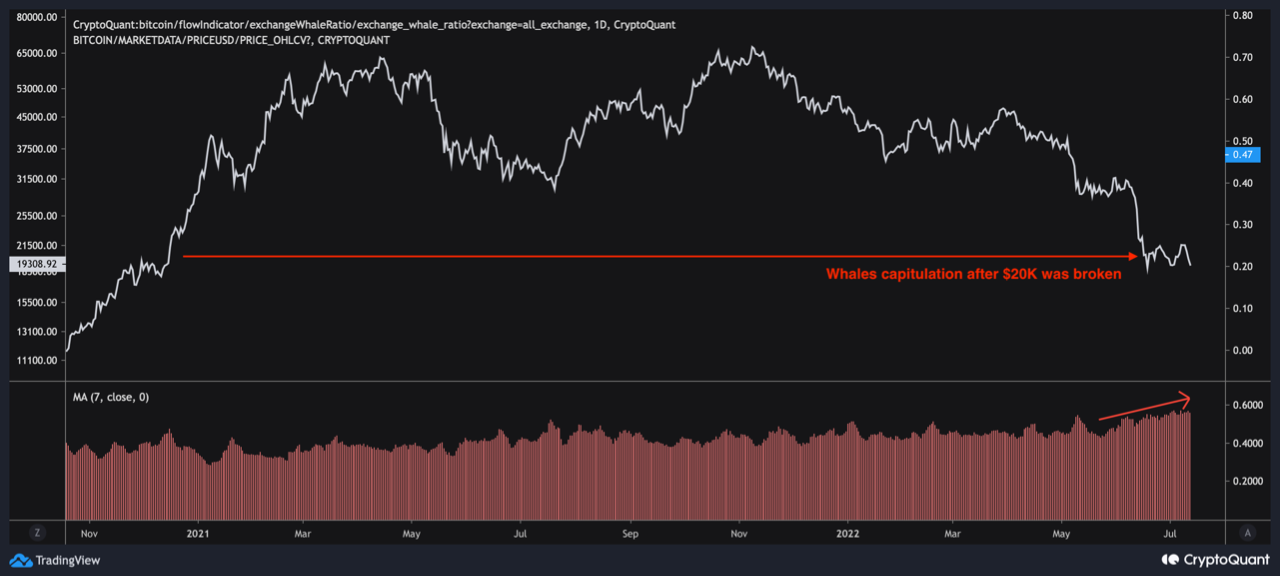 Relación de ballena de intercambio de Bitcoin