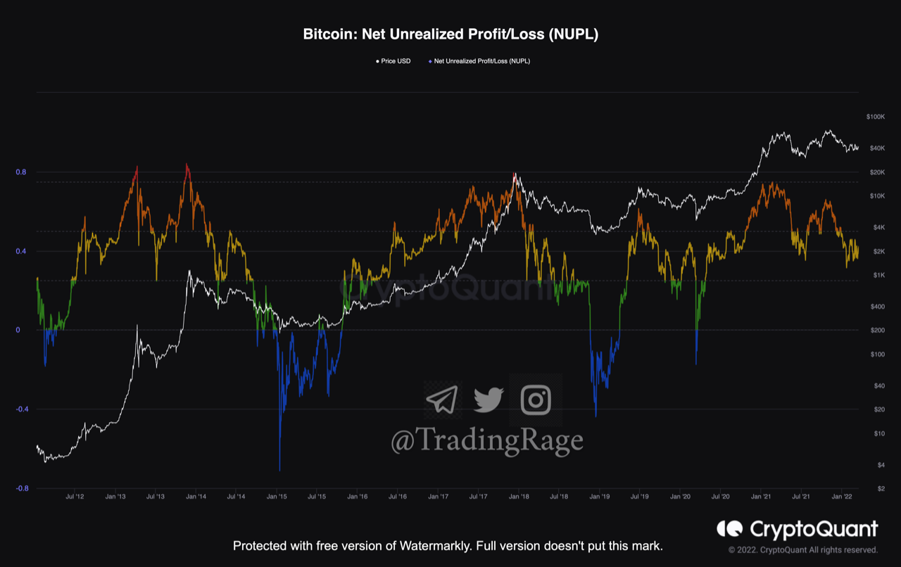 Bitcoin NUPL Suggests Bear Market Yet To Hit In Full Swing