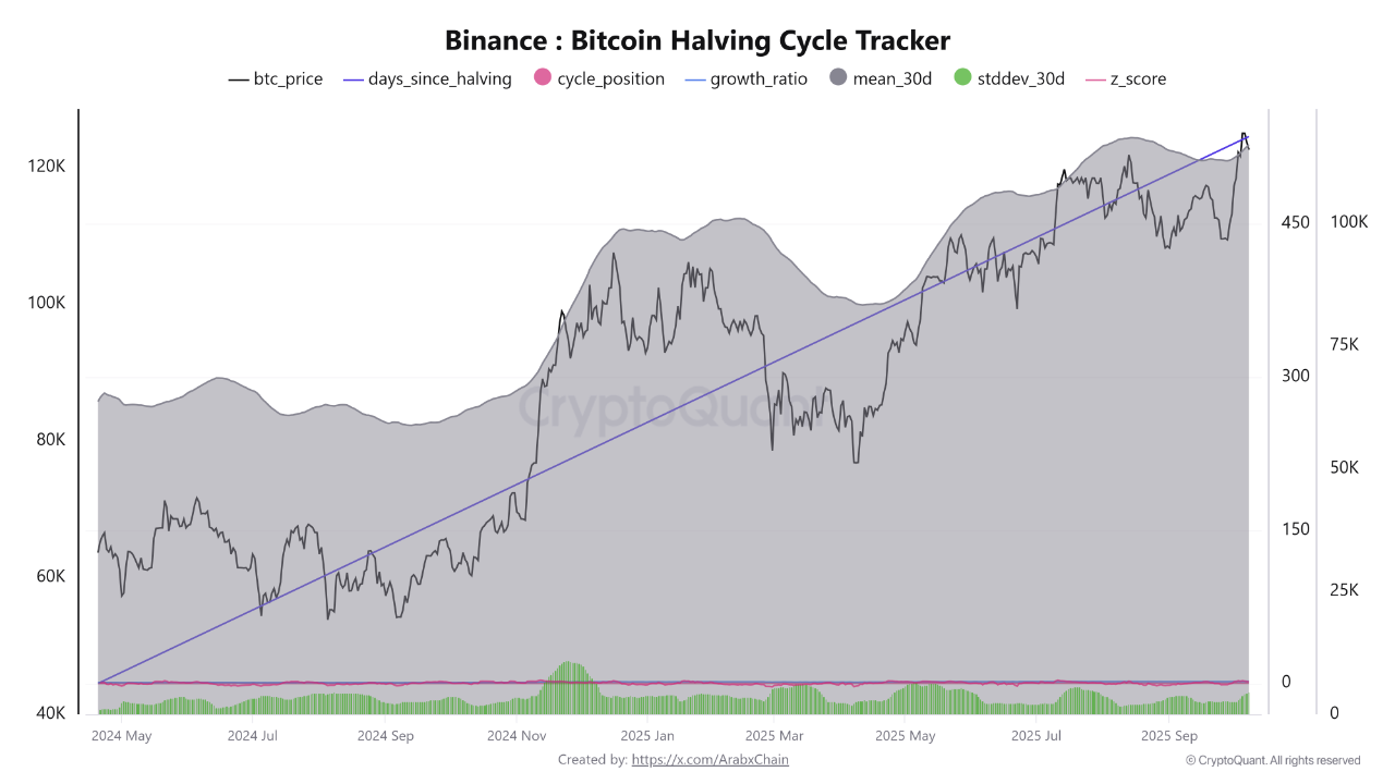 536 Days After the Bitcoin Halving, Binance Data Reveals Stable Upward  Momentum and a Possible Ap...