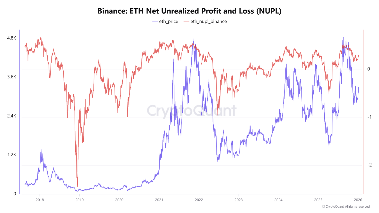 その他 Internet Profit NUPL Indicator for Ethereum on Binance Reflects Moderate