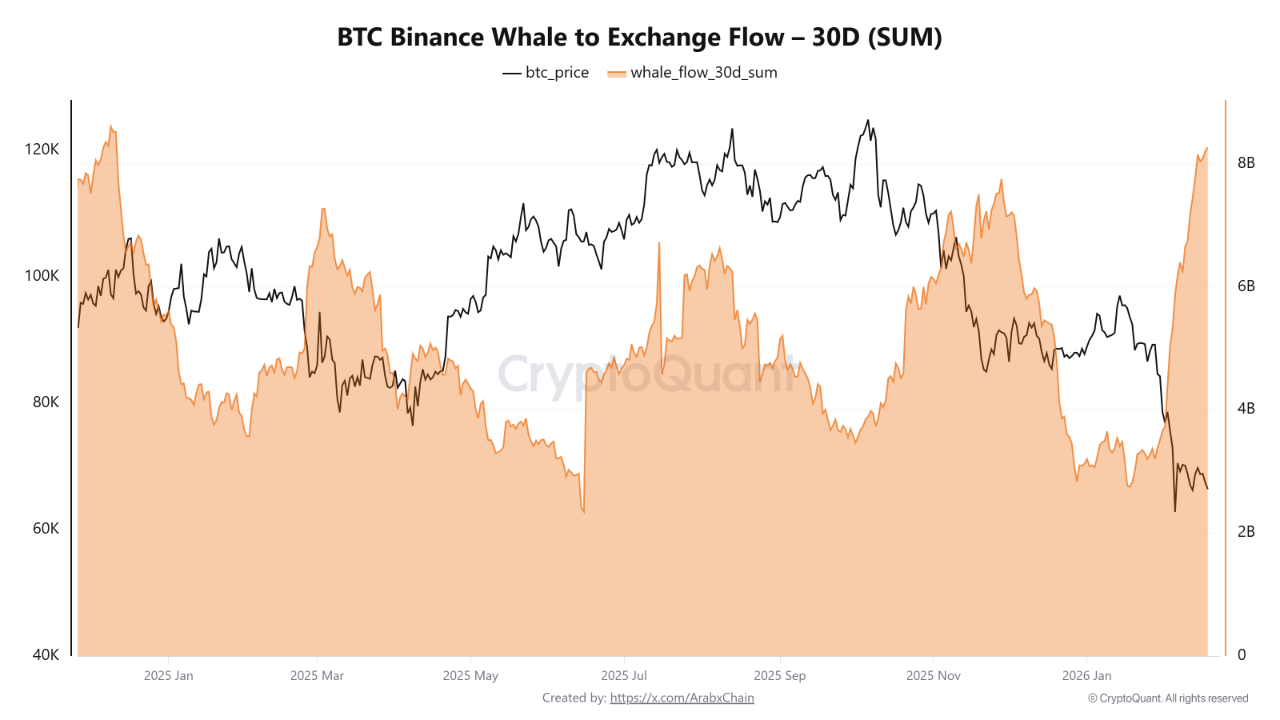 Bitcoin Whale Flows to Binance