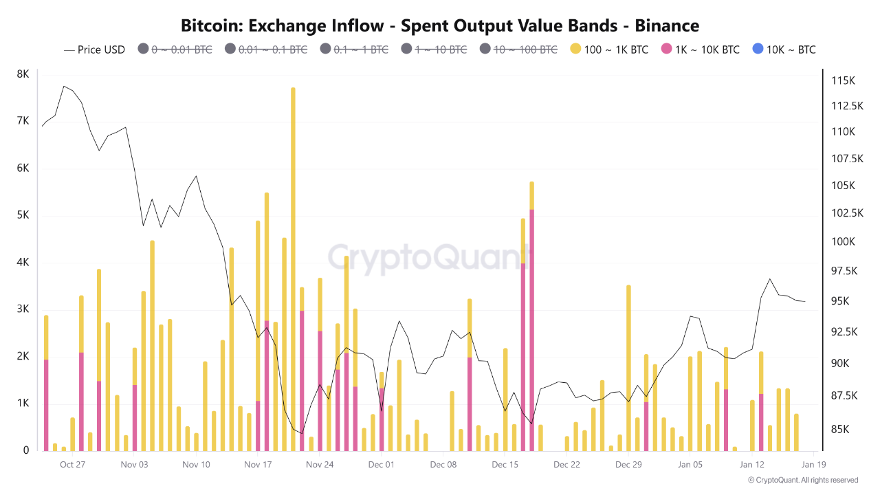 Mid-Sized Whales Dominate Bitcoin Inflows as Large Whale Activity Declines  on Binance | CryptoQuant