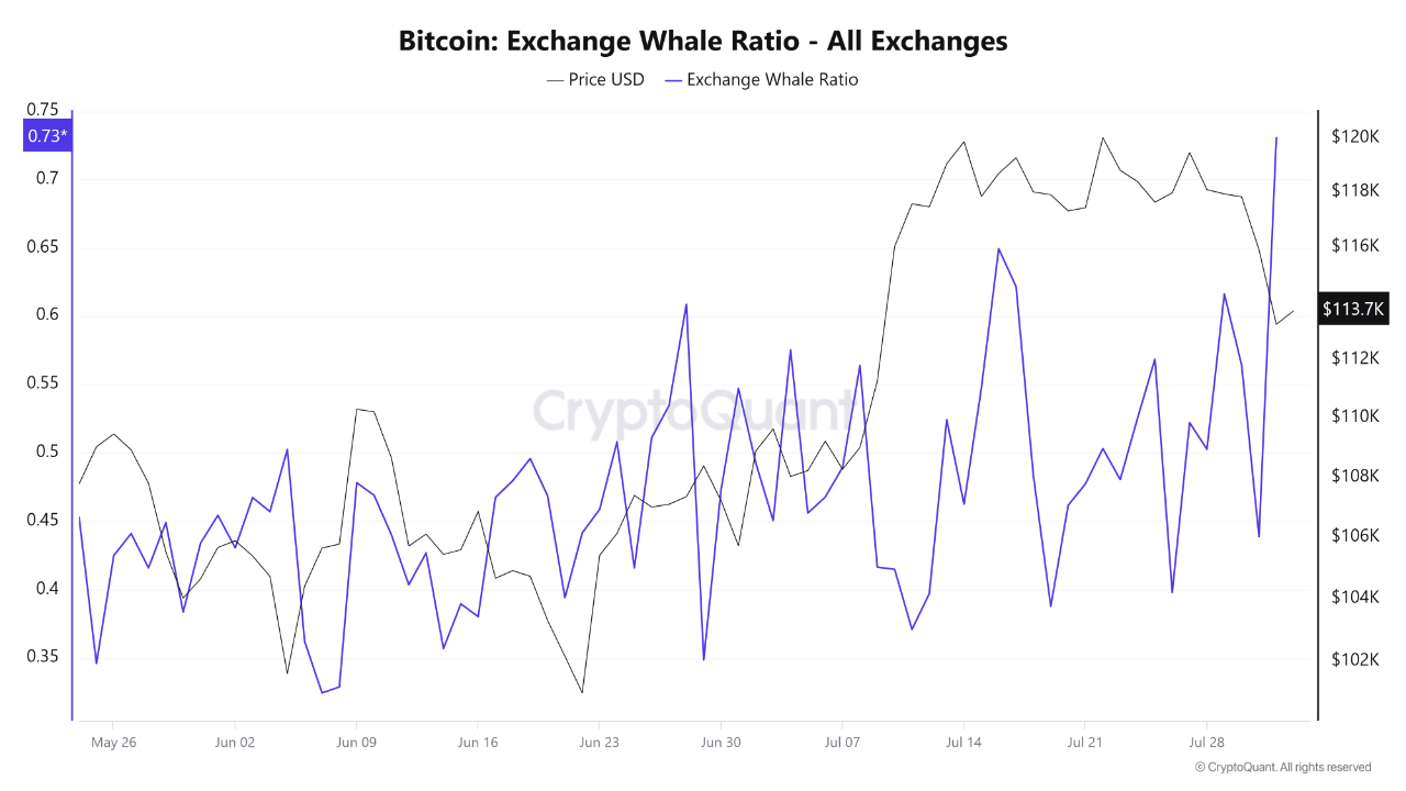 Whales Send Bitcoin to Exchanges | CryptoQuant