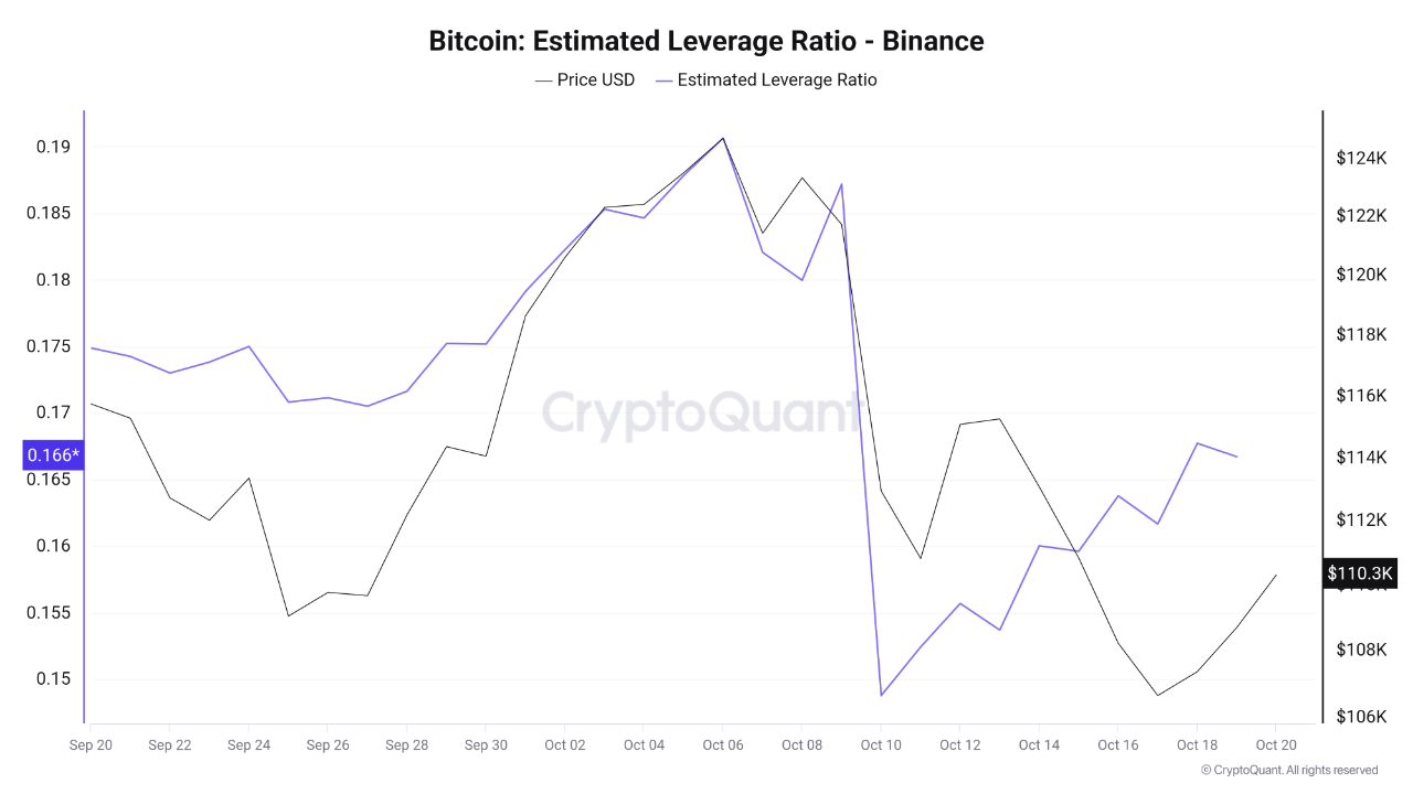 Leverage Activity Returns to Binance as Bitcoin Tests Confidence Around  $110K | CryptoQuant