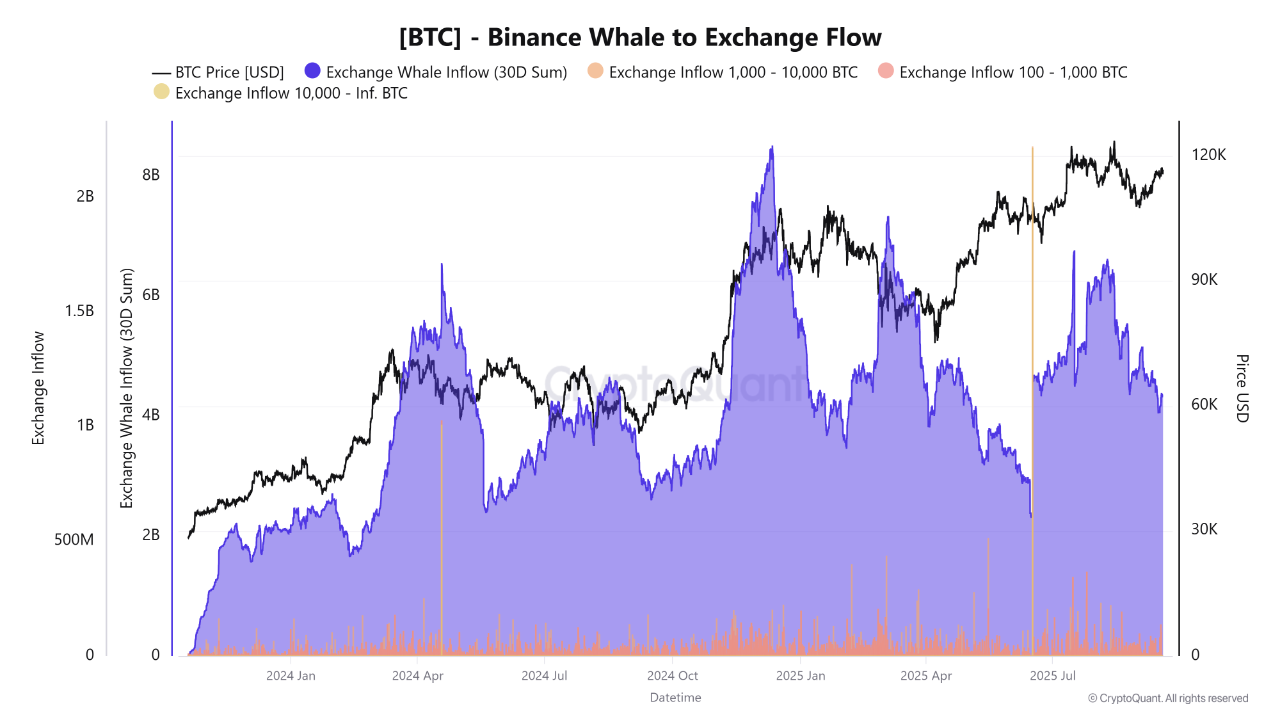 Binance Data Bitcoin Steadies Near $117,500 as Retail Inflows Dominate and  Whales Remain Absent |...