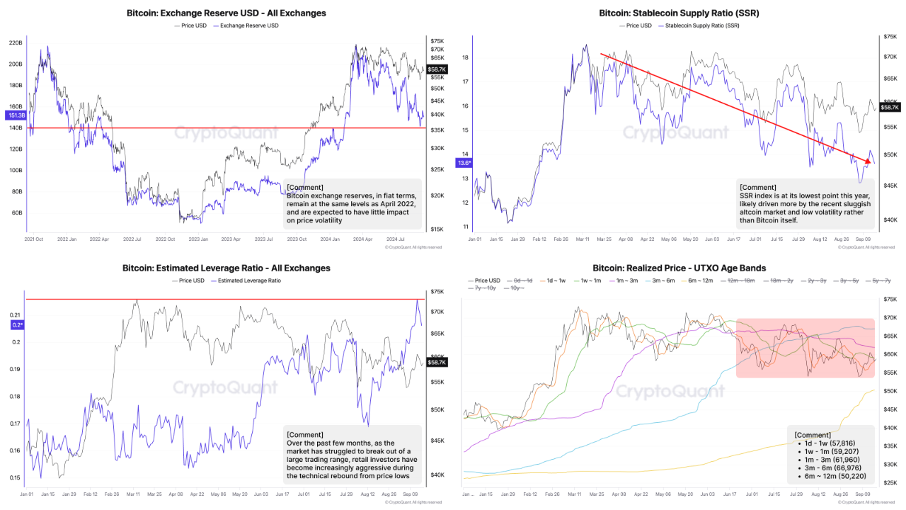 Mid- to Short-Term Investment Perspective: BTC On-Chain Insights for Q3  2024 | CryptoQuant