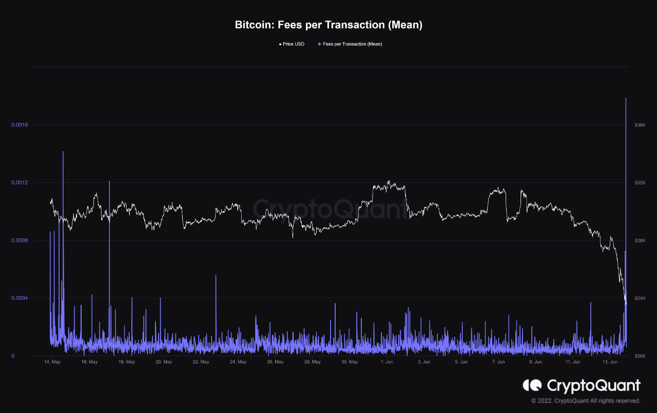 Bitcoin & Ethereum Fees Jump Up As Holders Rush To Sell