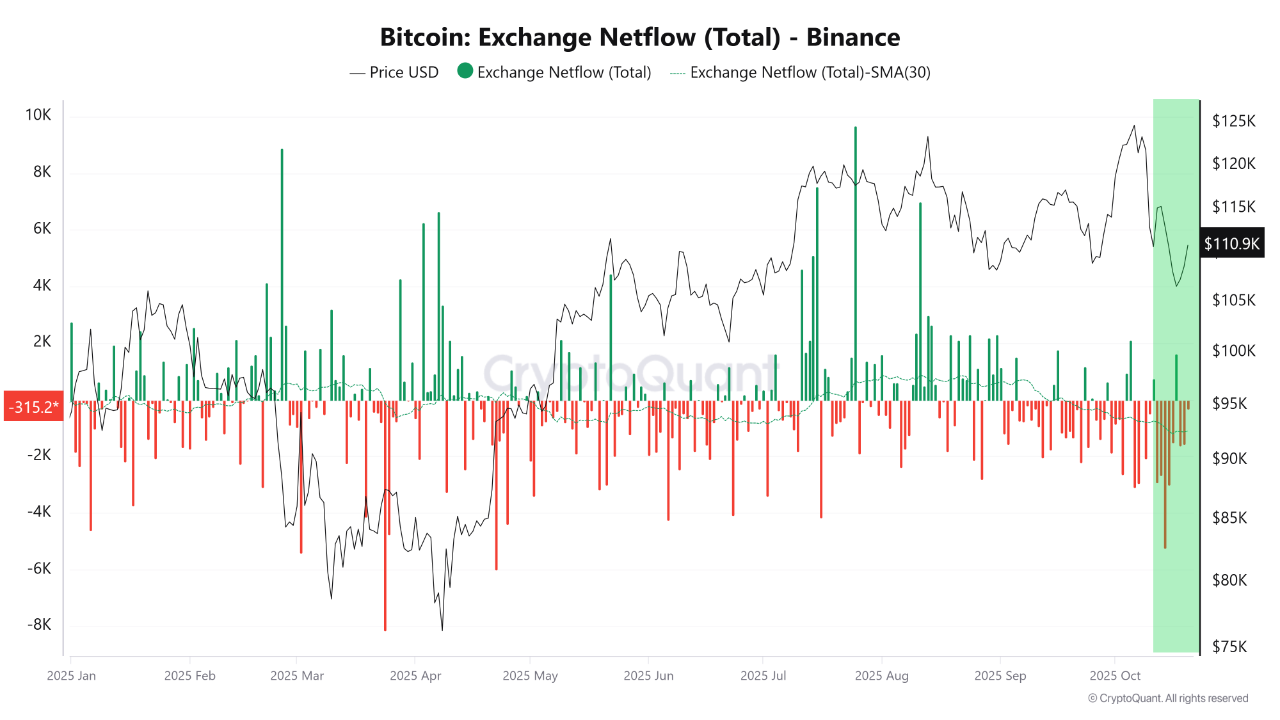 Selling Pressure Fades as Binance Netflow Turns Sharply Negative |  CryptoQuant
