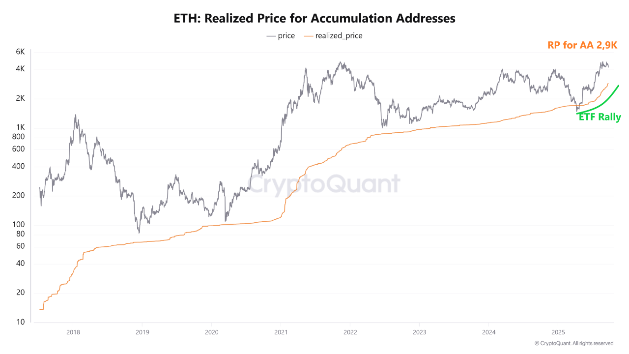 ETH Accumulation Addresses Show $2.9K Realized Price – A Key Support Zone?  | CryptoQuant