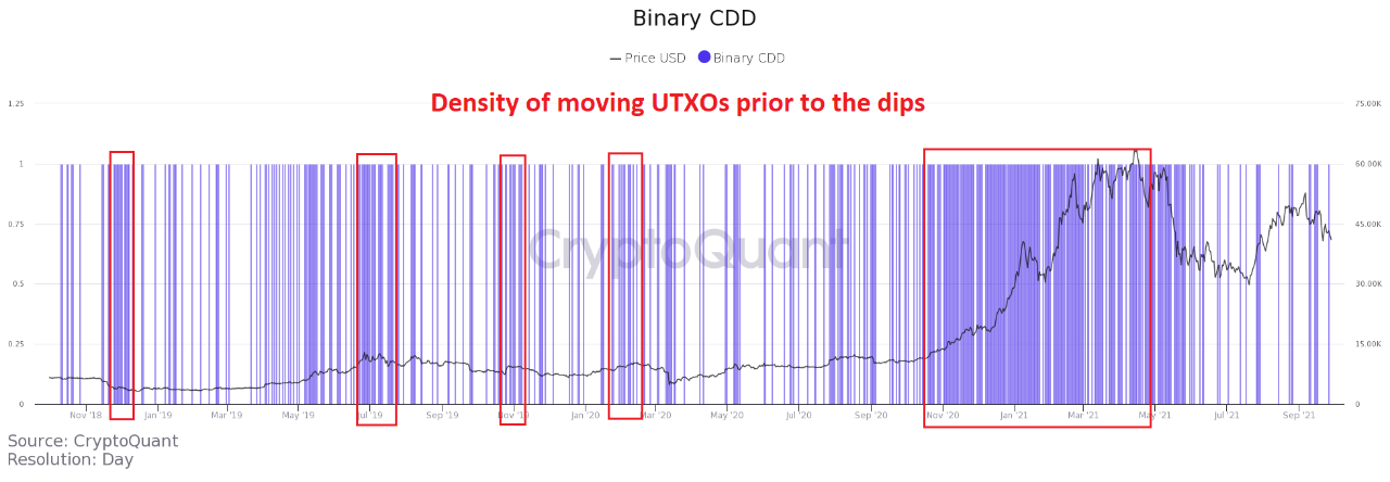 Low Premium & Dispersed Binary CDD | 크립토퀀트