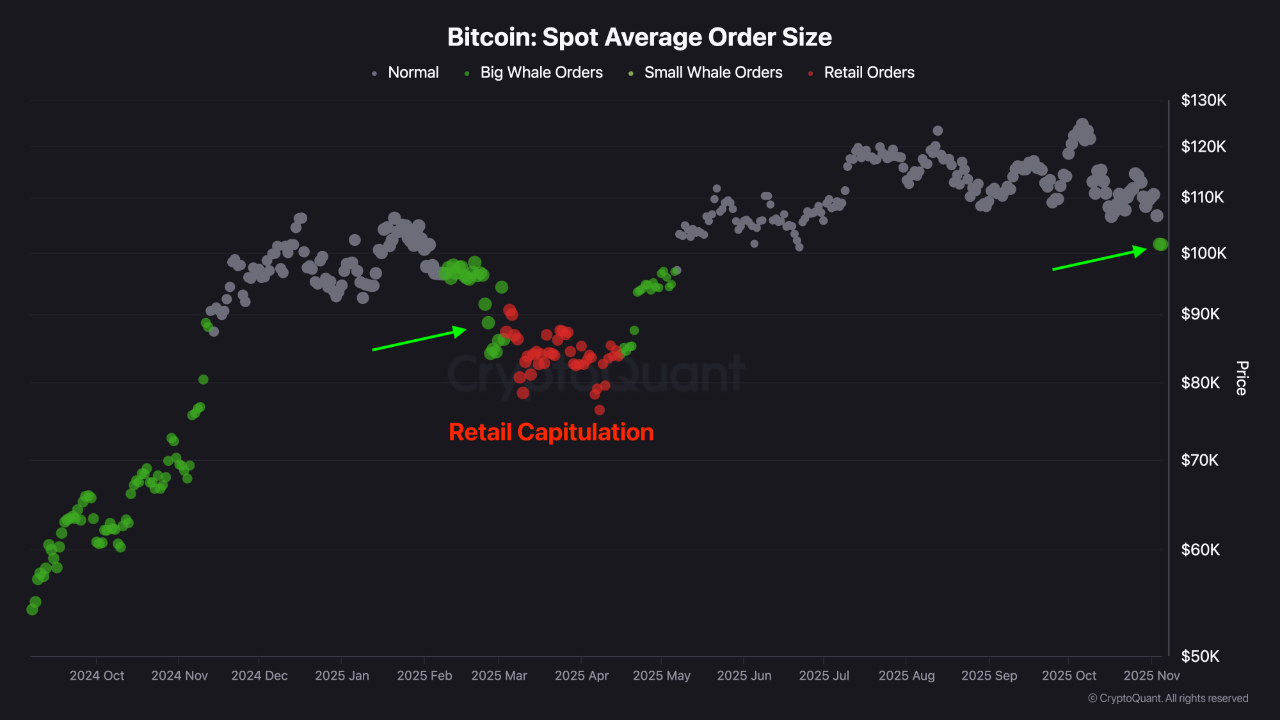 Institusi Mulai Beli Bitcoin? Pola Bullish Klasik Muncul Lagi – Blockchain  Media Indonesia