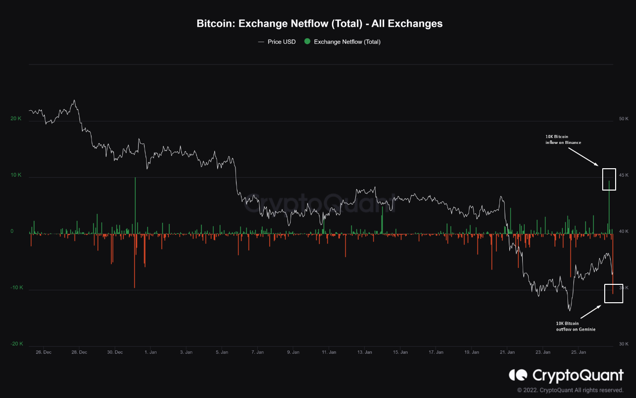 ビットコインネットフロージェミニ