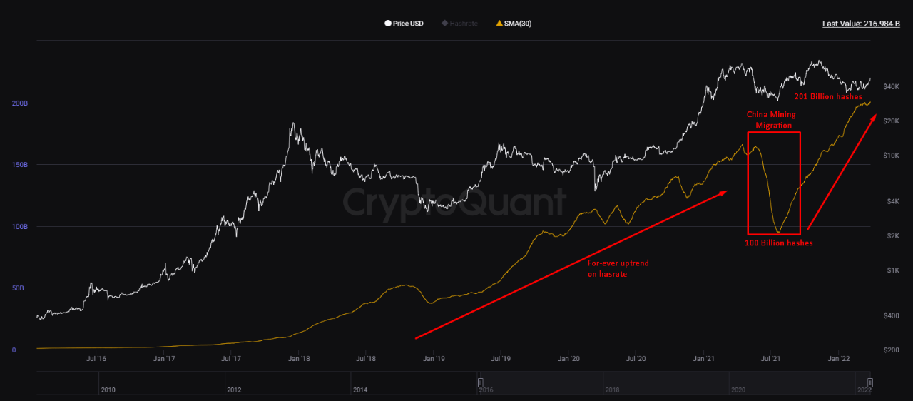 Bitcoin Hashrate makes a new all time high | CryptoQuant