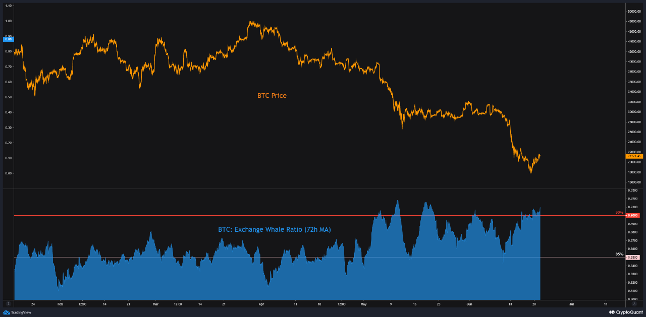 Relación de ballena de intercambio de Bitcoin