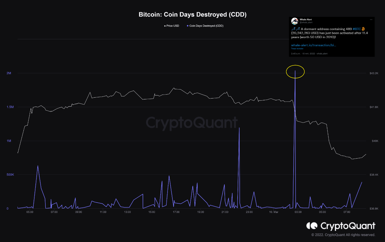 Bitcoin-Münzentage zerstört