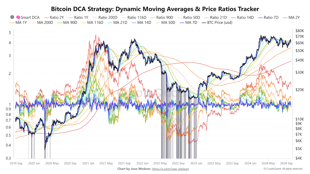 Unlocking Smart DCA: Strategies for Successful Crypto Investment |  CryptoQuant