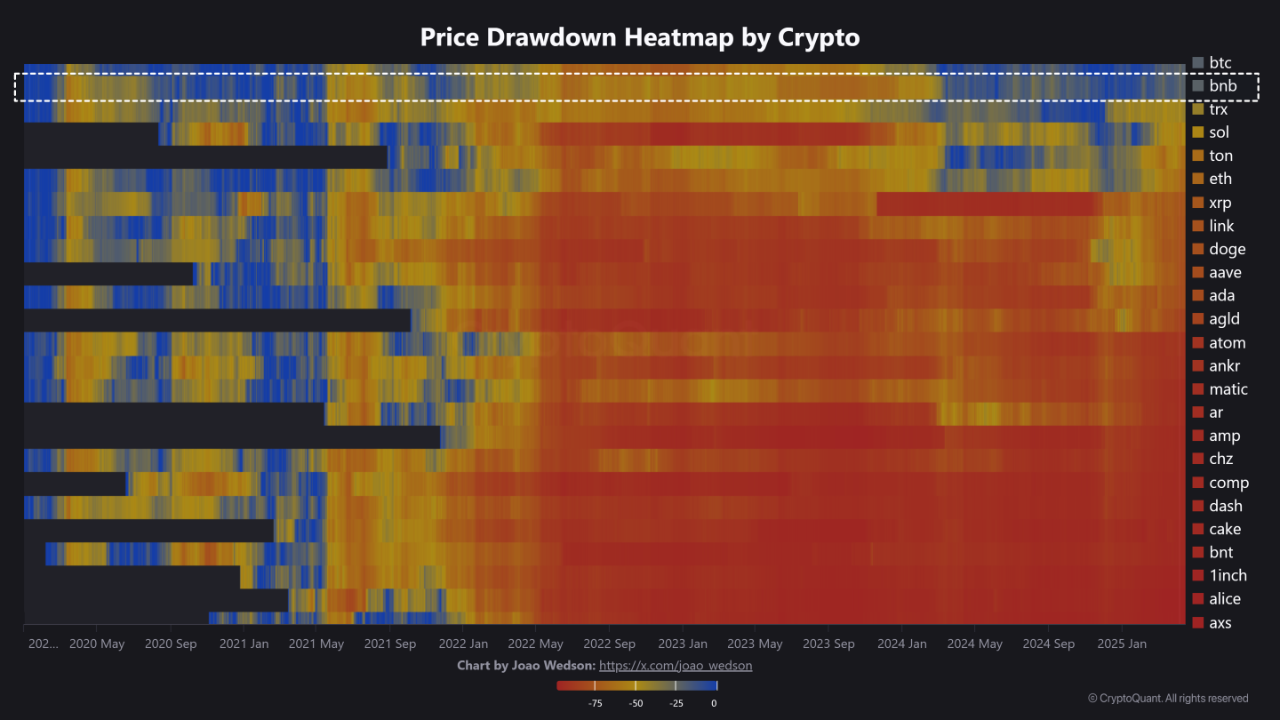 🛡️ BNB: The Most Resilient Altcoin in the Crypto Market | CryptoQuant