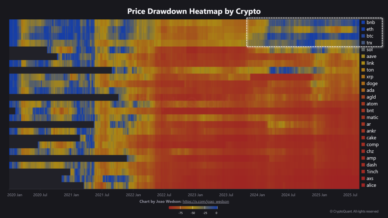 💎 The Most Resilient Cryptocurrencies in the Crypto Universe | CryptoQuant