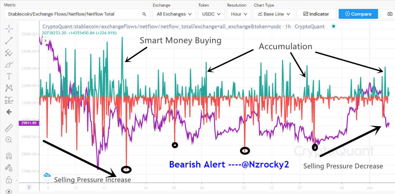 Hidden Bullish from USDC Netflow Metrics | 크립토퀀트