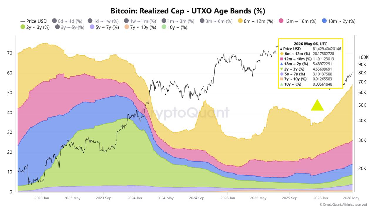 Current BTC Coin Age Structure – New Capital Inflow vs Old Supply | 크립토퀀트