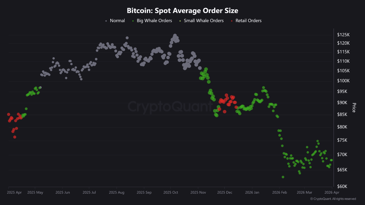 What Are Bitcoin Whales Doing? | CryptoQuant