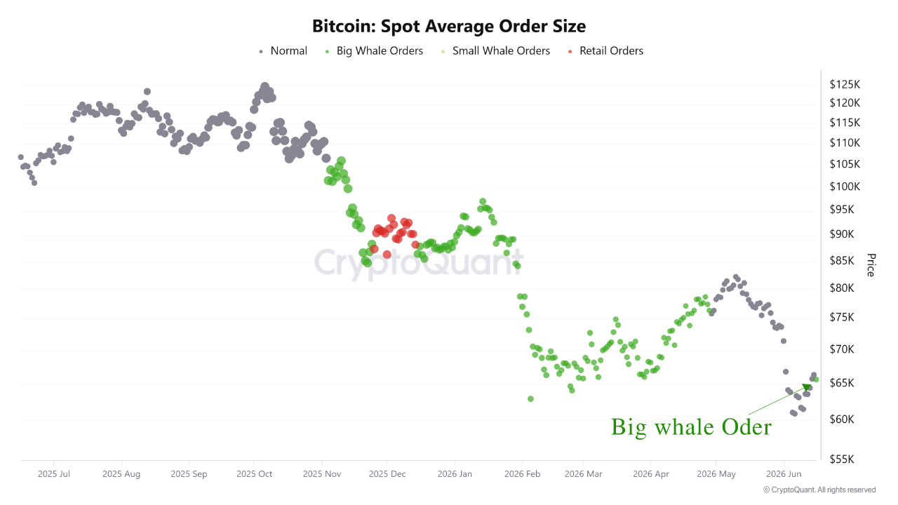 Bitcoin Price Falls Toward $64K After Fed Hawkish Stance, More Dip Incoming?