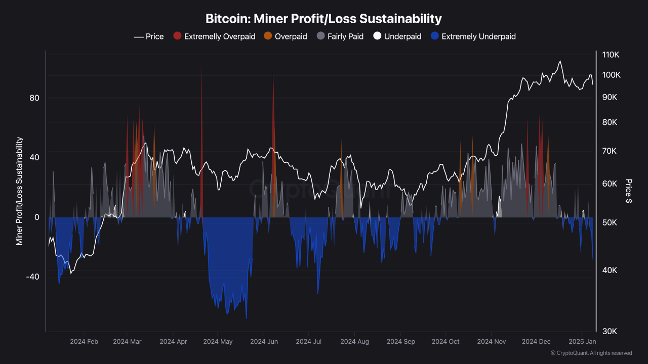 Bitcoin miner metric.