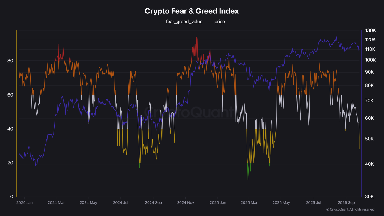 🚨 Fear Dominates: Is the Crypto Market Flashing a Bottom Signal? | 크립토퀀트