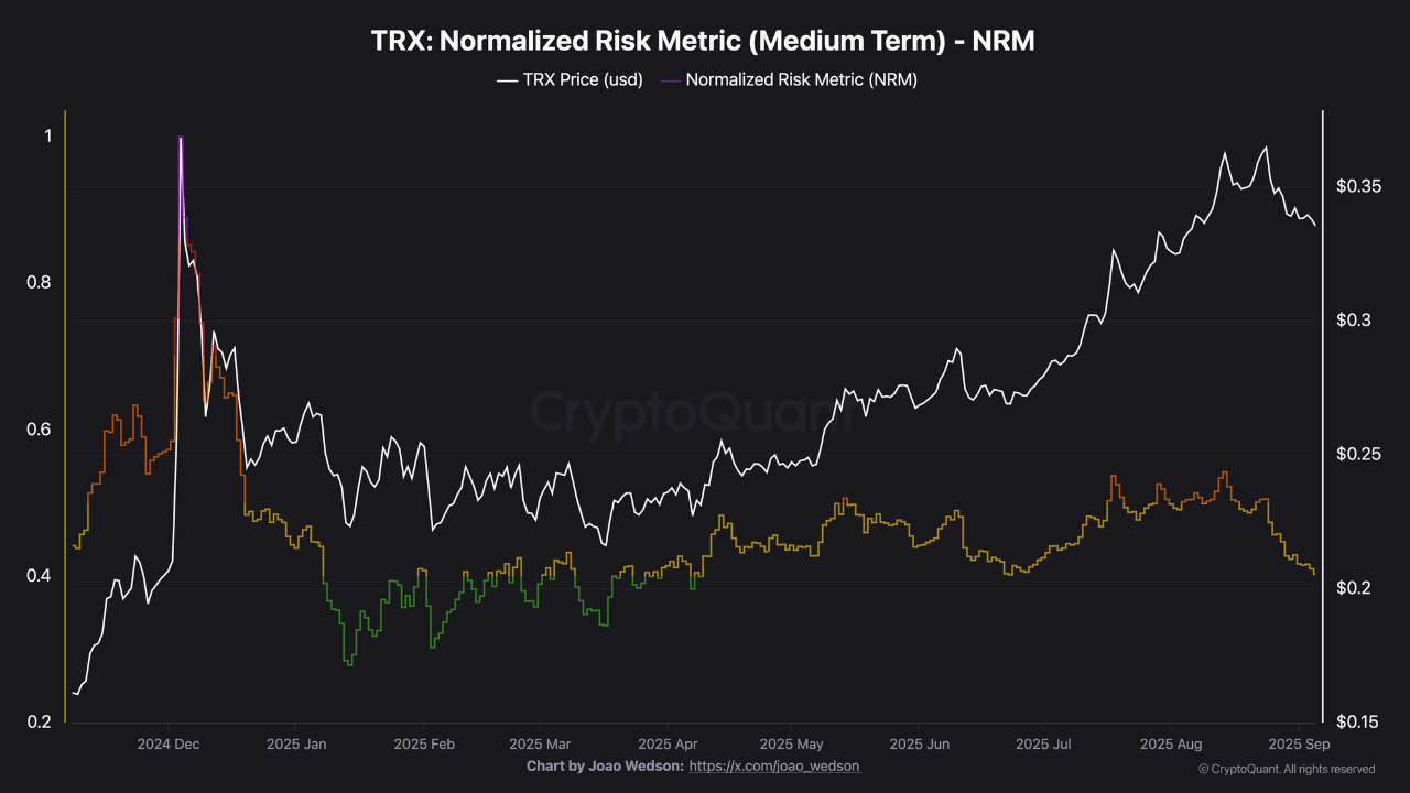 TRX: Transitioning into a New Phase in the NRM Risk-Reward Cycle | 크립토퀀트