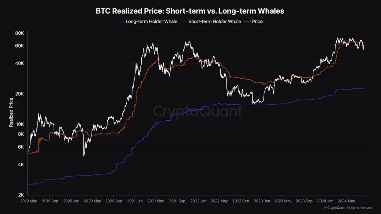 Pay attention to short-term whales | CryptoQuant