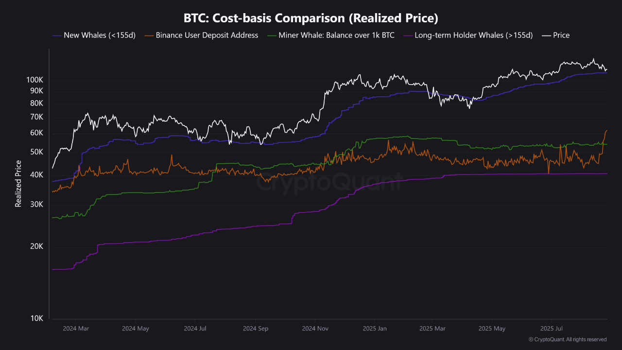 Bitcoin cost-basis comparison.