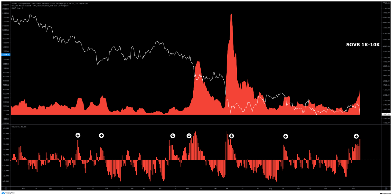 Paus Bitcoin