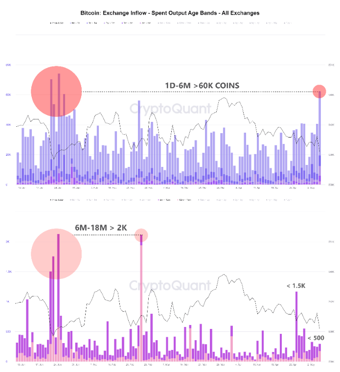 Krátkodobé přílivy držitelů bitcoinů