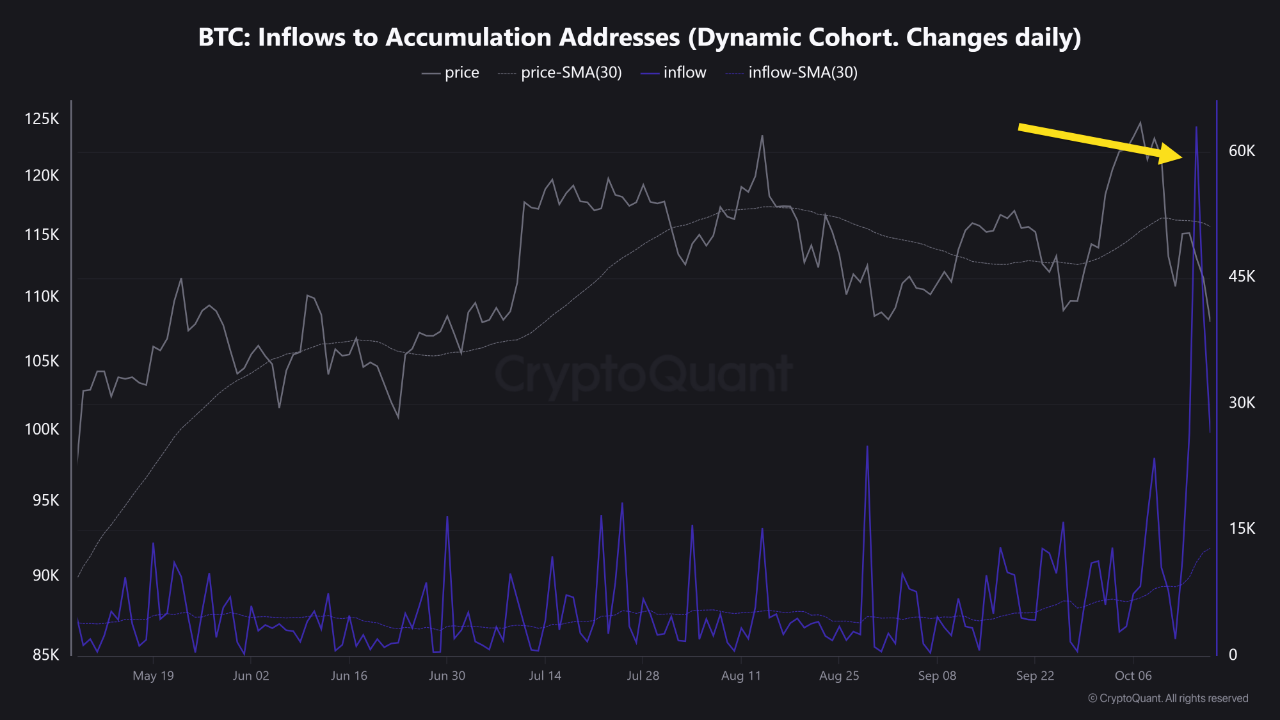 Bitcoin : Whales accumulating again | CryptoQuant