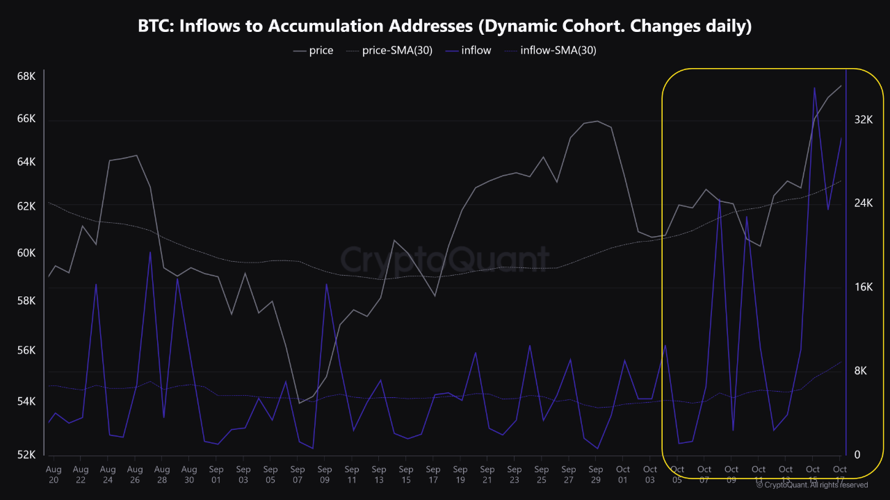 Large flows of Bitcoin into whale wallets | CryptoQuant