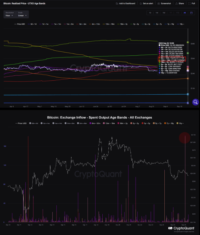 Bitcoin's Correction Unveiled | CryptoQuant