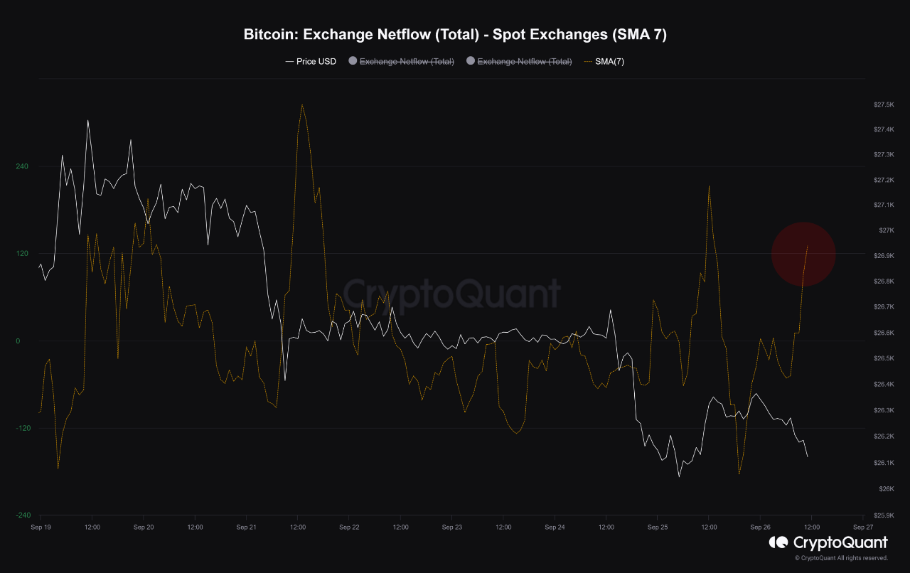 Bitcoin's Correction Unveiled | CryptoQuant