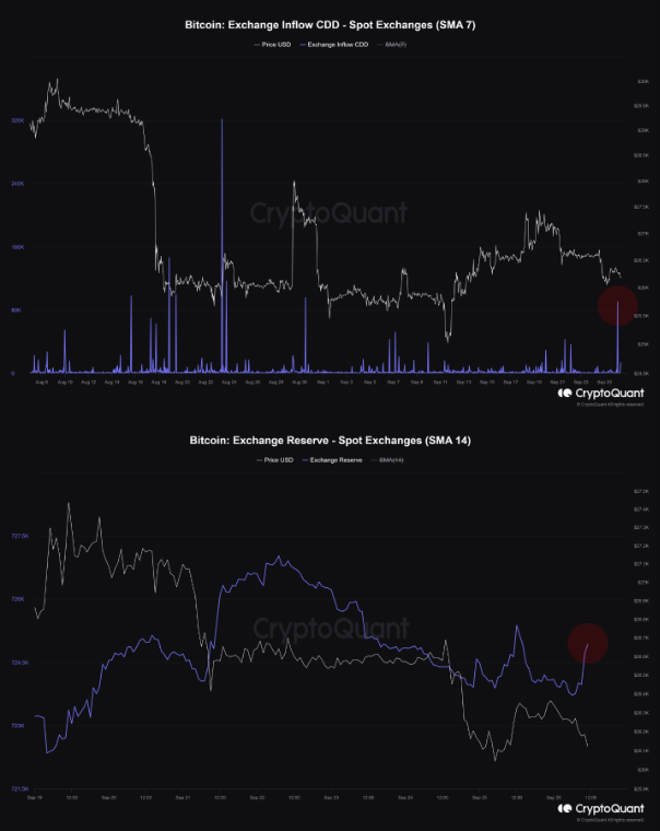 Bitcoin's Correction Unveiled | CryptoQuant