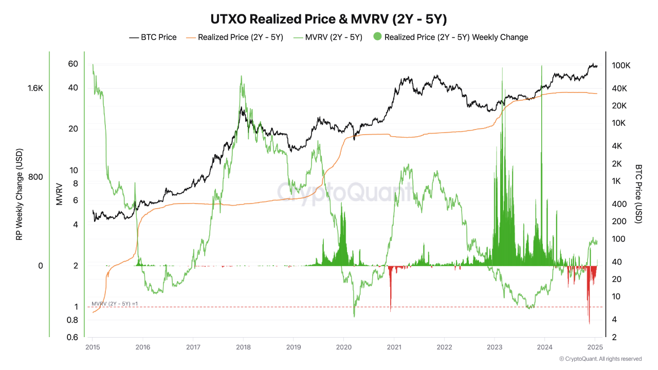 Cohort Analysis of Bitcoin UTXOs (2Y-5Y): Market Intelligence Snapshot |  CryptoQuant