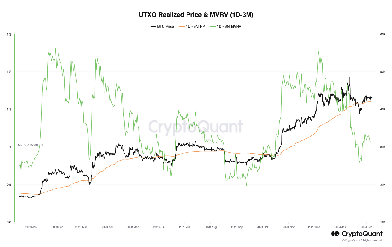 Unveiling Trends in Bitcoin Investment: A Comparative Analysis of Age Bands  | CryptoQuant