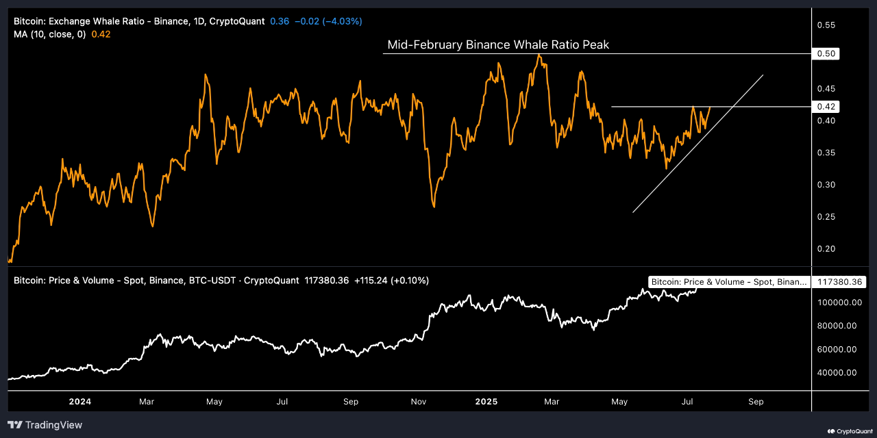 Binance Whale Ratio Surging Again | CryptoQuant