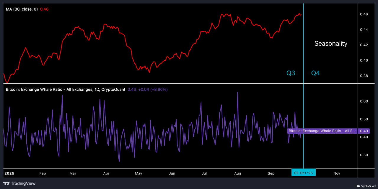 Exchange Whale Ratio Hits 2025 Peak | CryptoQuant