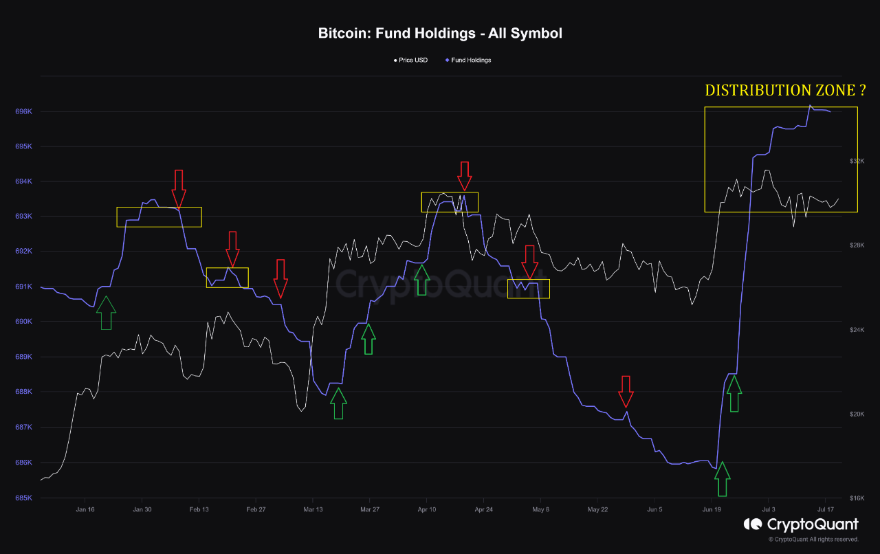 Fund holdings exposure to Bitcoin volatility | CryptoQuant
