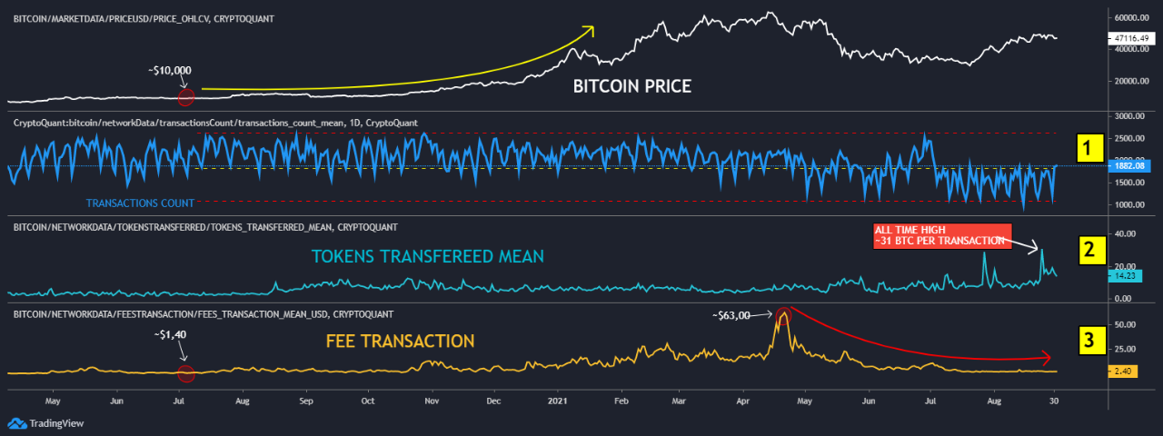 Bitcoin Indicators