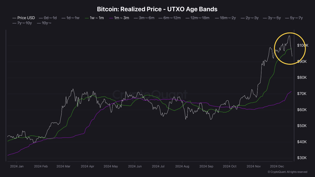 Short-Term Bitcoin Correction: A Buying Opportunity Amid Investor Concerns  | CryptoQuant