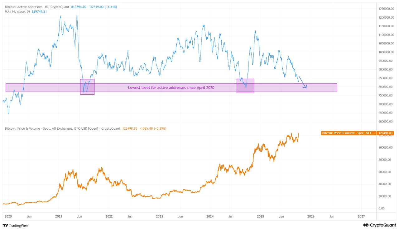 Negative Divergence Between Price and Active Addresses on the Bitcoin  Network | 크립토퀀트