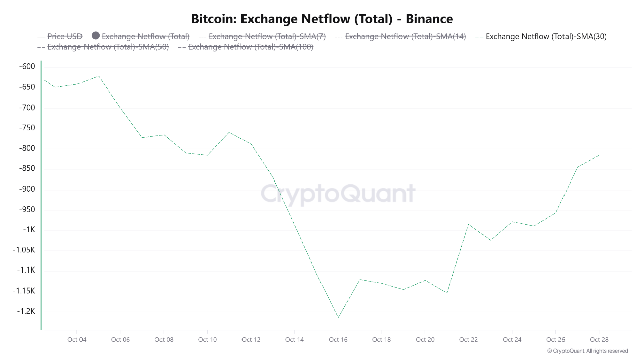 Post-Dip Confidence Signal: Capital and Whales Flood Binance | 크립토퀀트