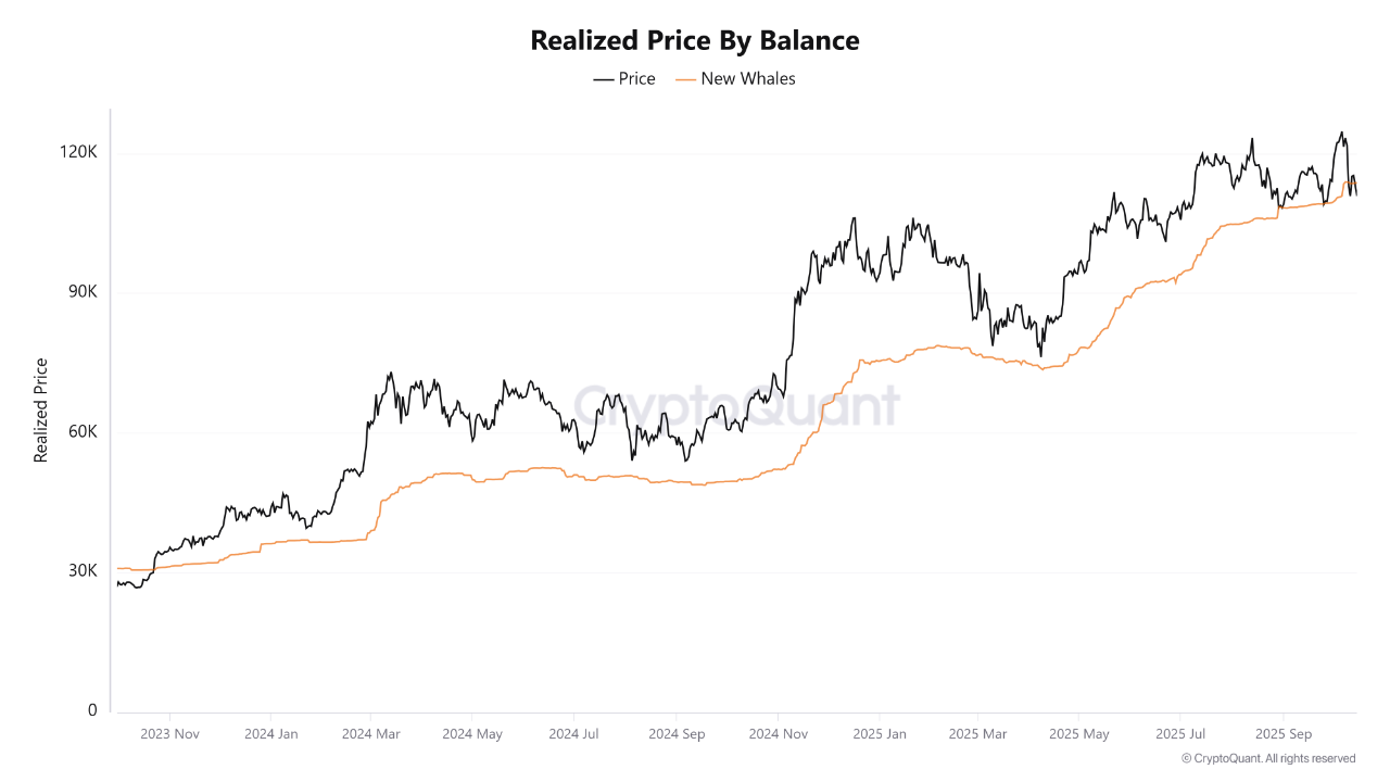 The Battle for Two-Year Support; Bitcoin at a Pivotal Moment: Bitcoin is  Losing Critical Two-Year...