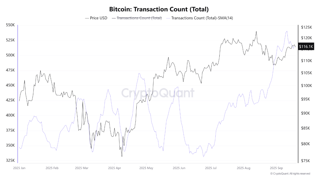 Will bitcoin hit 125k (70) 사진